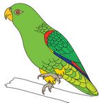 risuem-parrot-9-mini