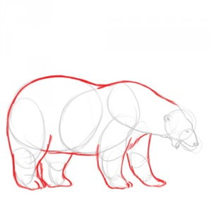 как нарисовать белого медведя карандашом