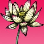 Как нарисовать цветок лотос карандашом поэтапно