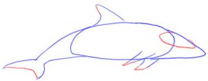 как можно нарисовать дельфина