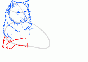 как нарисовать красивого волка