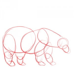 как нарисовать белого медведя поэтапно